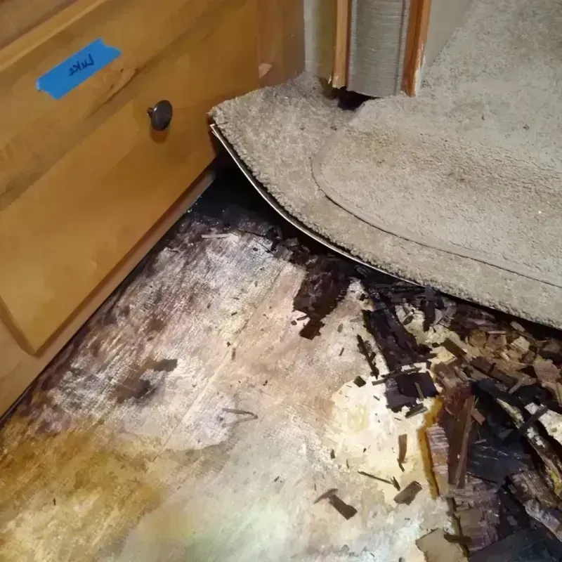 Wood Floor Water Damage in Thorp, WI